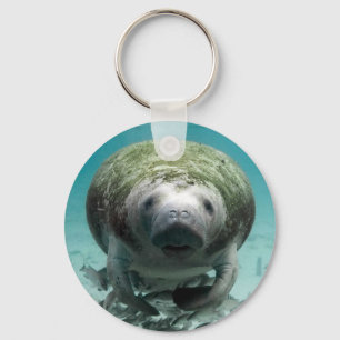 Chaveiro Bem, Olá Lá