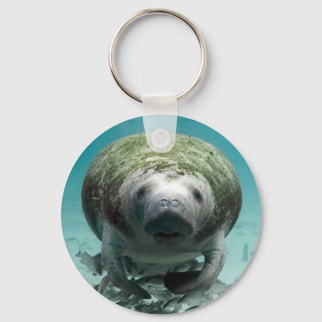 Chaveiro Bem, Olá Lá (Frente)