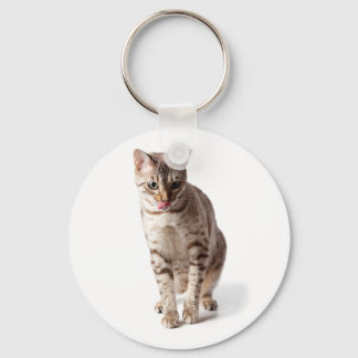 Chaveiro Bengal Kitten lamber lábios