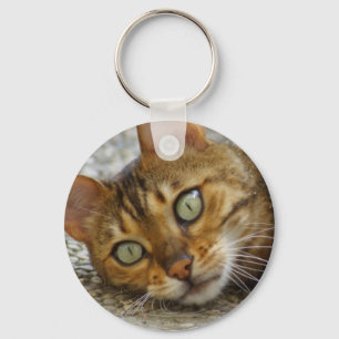 Chaveiro Bengala Cat