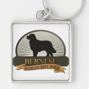 Chaveiro Bernese