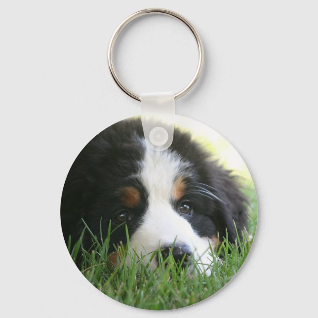 Chaveiro Bernese Puppy (Frente)