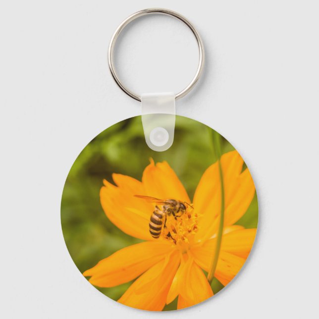 Chaveiro Besouro-pollinator em um Cosmos Sulfúreo (Frente)