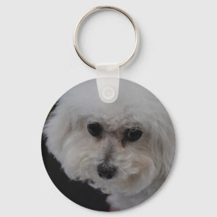 Chaveiro Bichon doce Frise