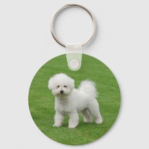 Chaveiro Bichon Frise