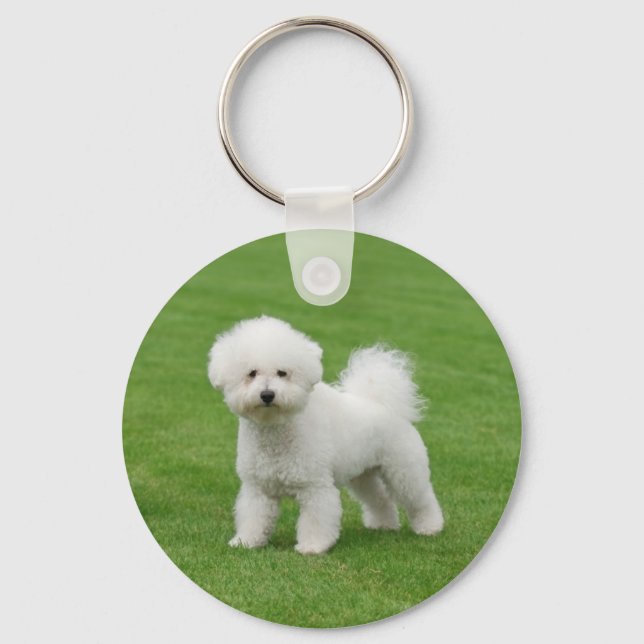 Chaveiro Bichon Frise (Frente)