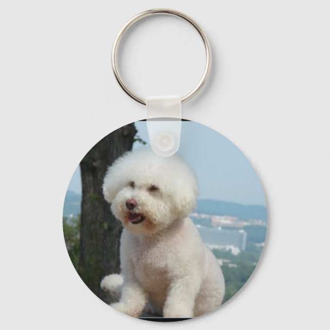 Chaveiro Bichon Frise (Frente)