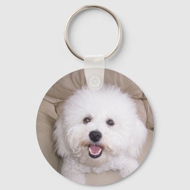 Chaveiro Bichon Frise (Frente)