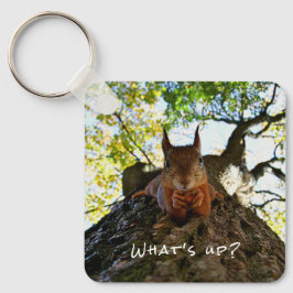 Chaveiro Bichos Engraçados De Esquilo Olá Lá De Oi