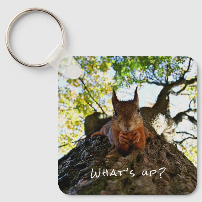 Chaveiro Bichos Engraçados De Esquilo Olá Lá De Oi (Frente)