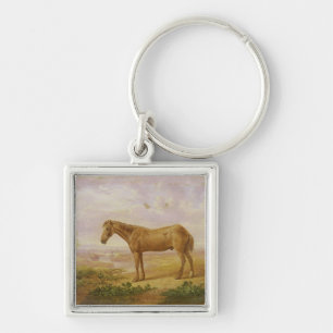 Chaveiro Billy idoso, um cavalo de esboço, envelhecido 62