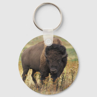 Chaveiro Bison