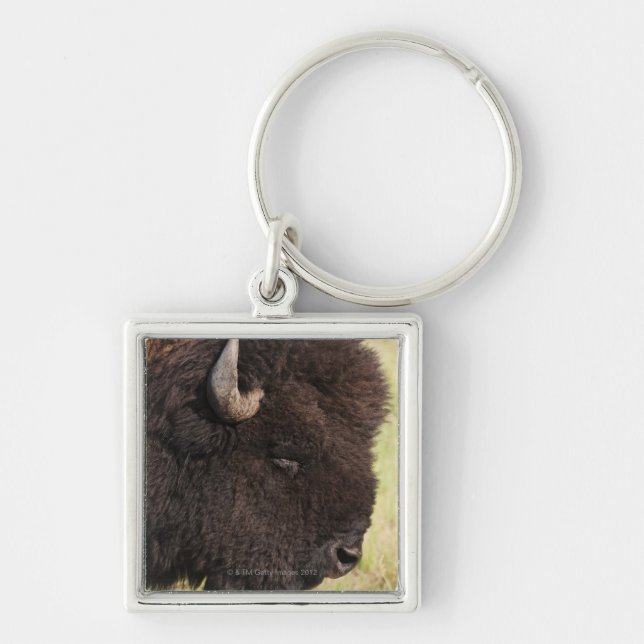 Chaveiro Bisonte americano, South Dakota (Frente)