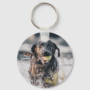 Chaveiro Black Labrador Joga Busca Na Água