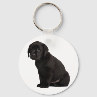 Chaveiro Black Labrador Puppy