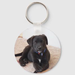 Chaveiro Black Labrador Retriever Puppy