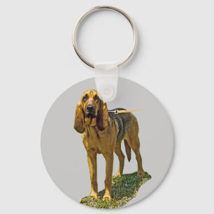Chaveiro Bloodhound
