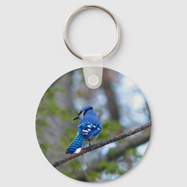 Chaveiro Blue Jay (Frente)