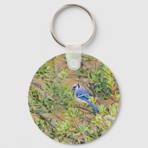 Chaveiro Blue Jay on Wax Myrtle