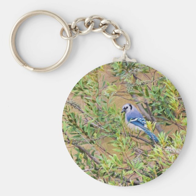 Chaveiro Blue Jay on Wax Myrtle (Frente)