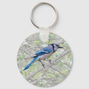 Chaveiro Blue Jay Songbird