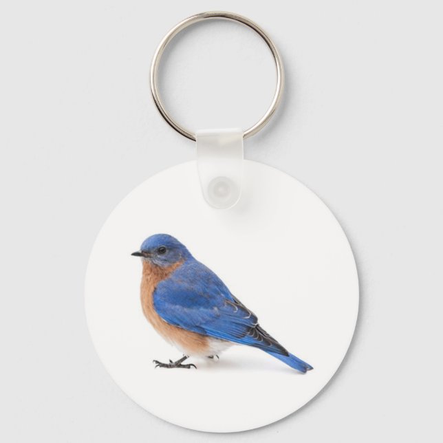 Chaveiro Bluebird (Frente)