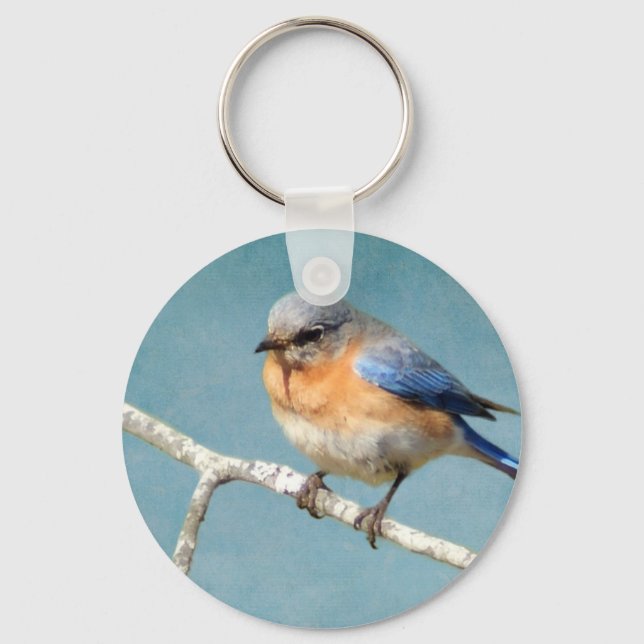 Chaveiro Bluebird (Frente)