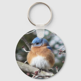 Chaveiro Bluebird