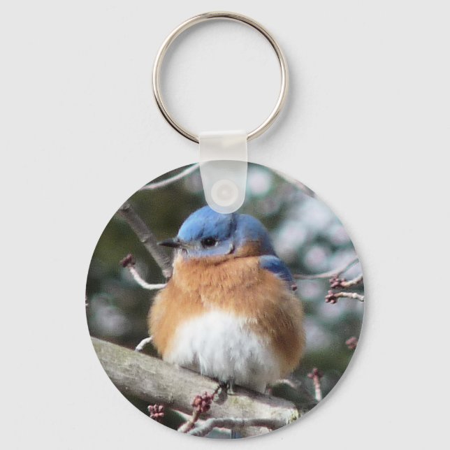 Chaveiro Bluebird (Frente)