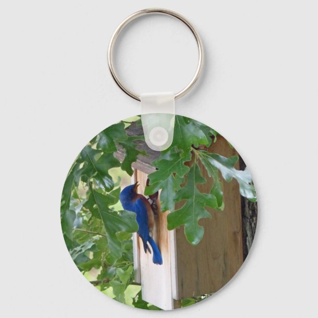 Chaveiro Bluebird em casa (Frente)