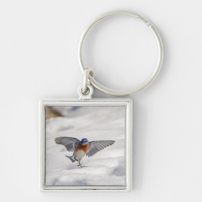 Chaveiro Bluebird oriental dançando na neve (Frente)