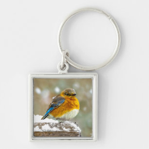Chaveiro Bluebird oriental na neve - Foto original
