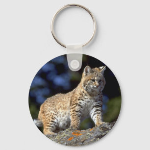 Chaveiro Bobcat