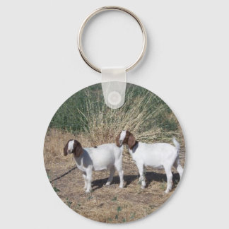 Chaveiro Boer Goat Kids