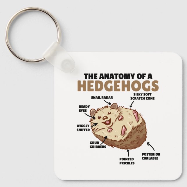 Chaveiro Bonita Explicação De Hedgehog Anatomia De Hedgehog (Frente)