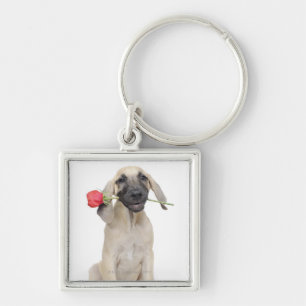 Chaveiro bonito, admiração, romance, amor,