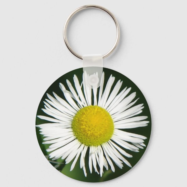 Chaveiro Bonito Daisy (Frente)