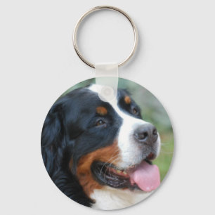 Chaveiro bonito de Bernese
