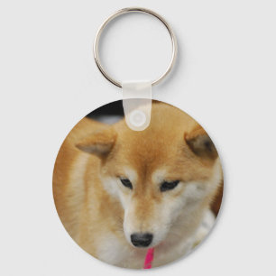 Chaveiro bonito de Shiba Inu