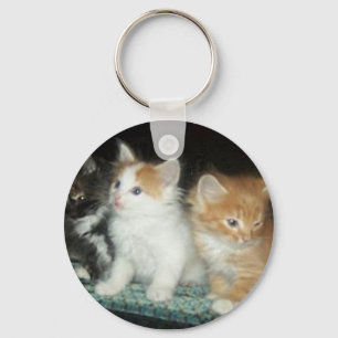 Chaveiro bonito dos gatinhos