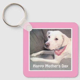 Chaveiro Bonito Labrador Branco Retriever Misturar Cachorro