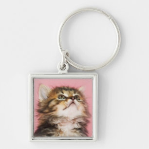 Chaveiro Bonito no gatinho cor-de-rosa
