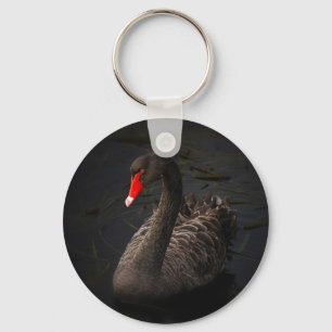 Chaveiro Bonito Swan Negro com Bright Beak Vermelho