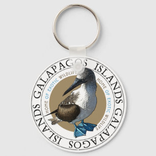 Chaveiro Booby pagado azul