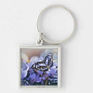 Chaveiro Borboleta Azul