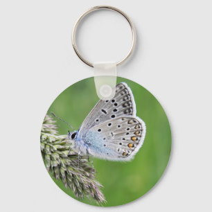 Chaveiro Borboleta Azul Comum na Grama