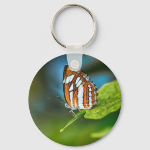 Chaveiro Borboleta branca e laranja riscada