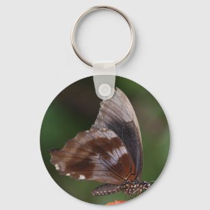 Chaveiro Borboleta branca e marrom na flor vermelha