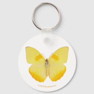 Chaveiro Borboleta comum do amarelo da grama