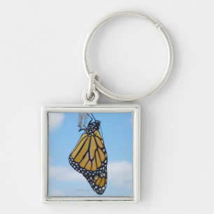Chaveiro Borboleta de monarca, com crisálida